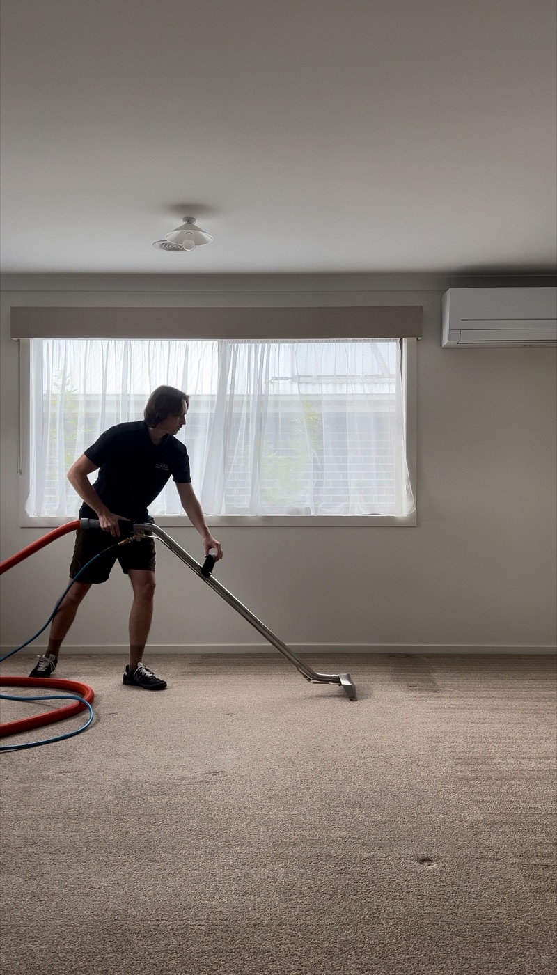 Professional carpet cleaning in action